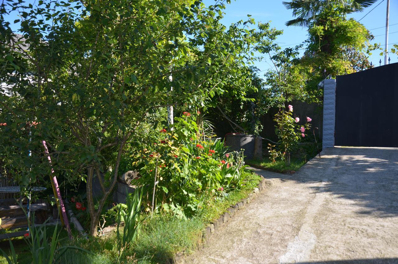 Tj Guest House マヒンジャウリ エクステリア 写真