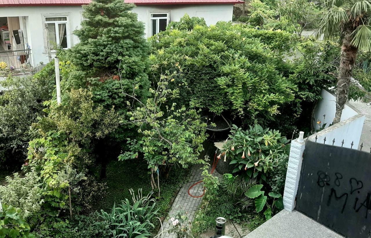 Tj Guest House マヒンジャウリ エクステリア 写真